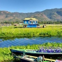 jardins flottants au lac Inle, Birmanie