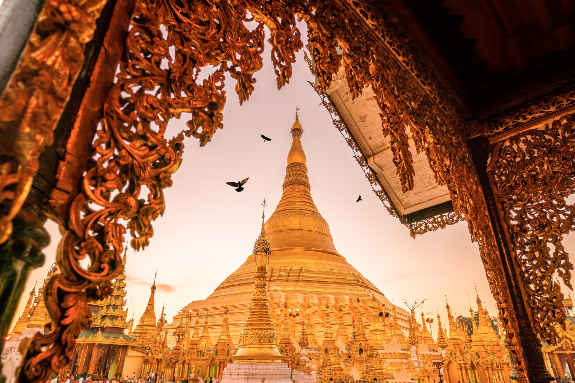 Pagode Shwedagon à Yangon