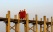 Pont Ubein Amarapura, Myanmar
