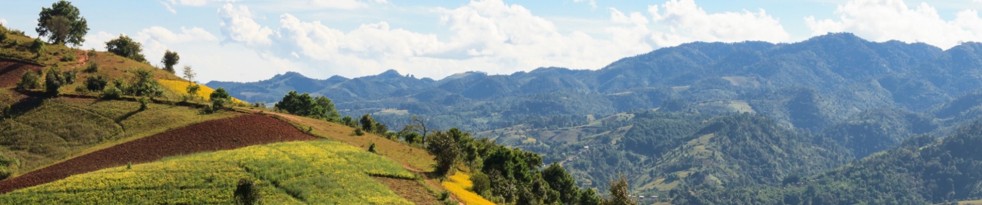 Trekking sur les colines de Kalaw, lac Inle, Birmanie