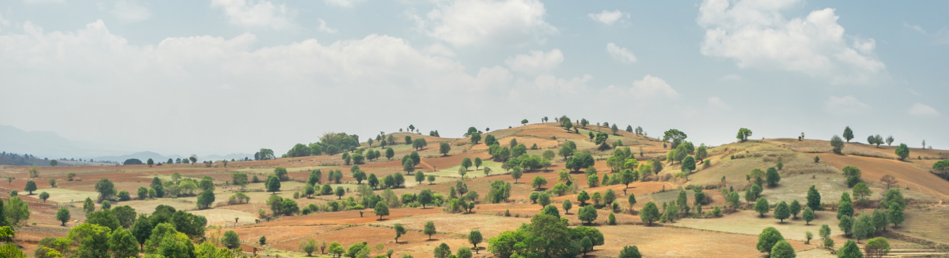 chemin kalaw et lac Inle, Birmanie