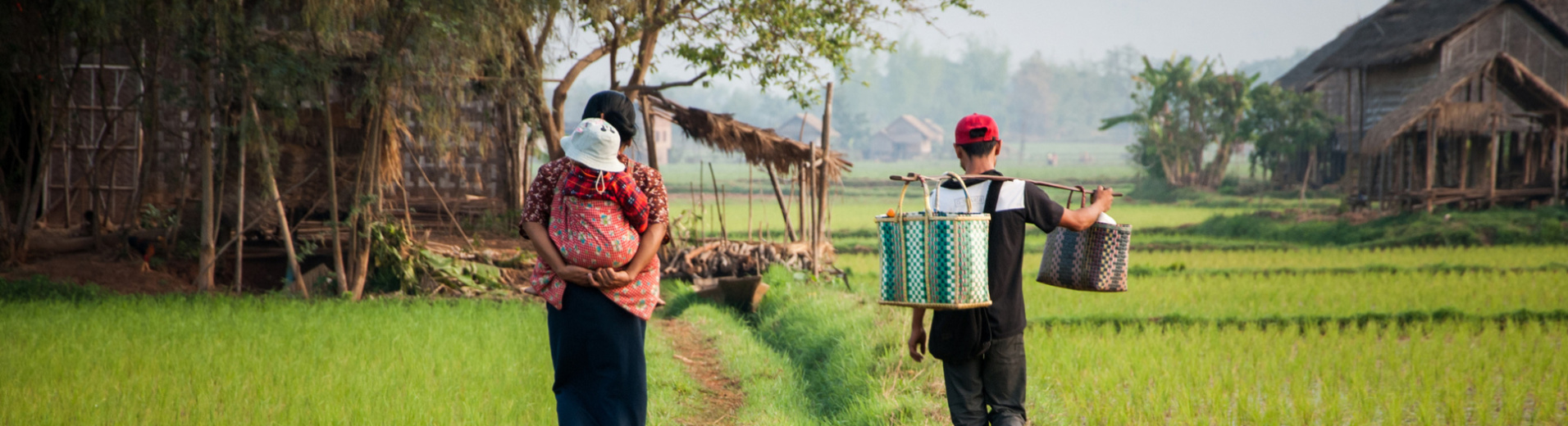 famille dans champ de riz, myanmar