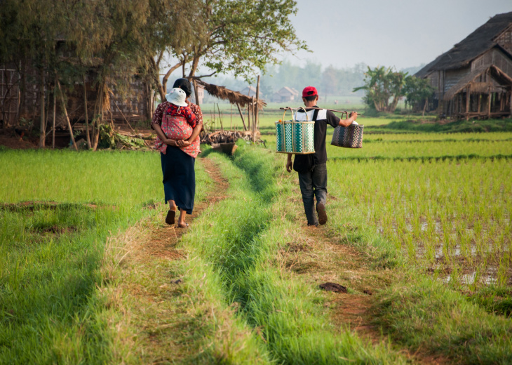 famille dans champ de riz, myanmar