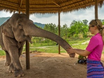 Green Hill Valley Elephant Project