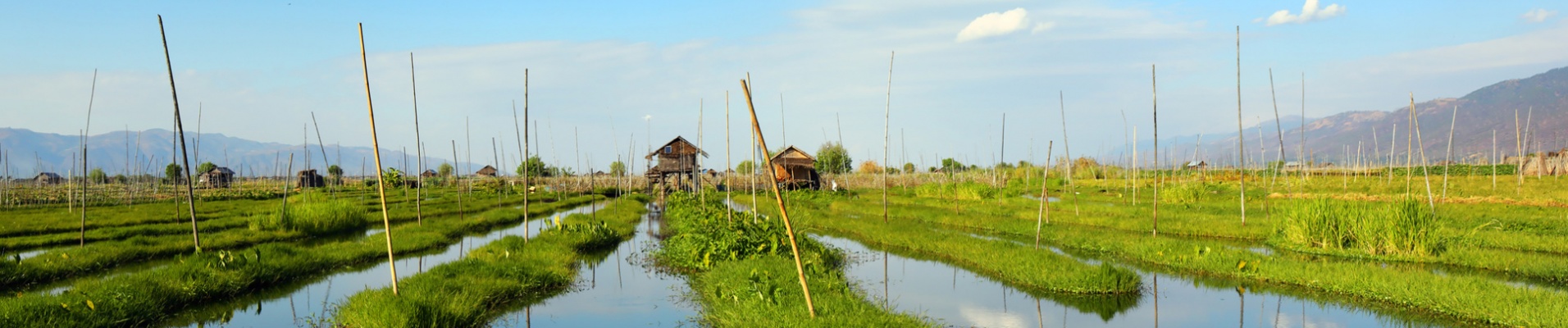 jardins flottants de Kela, Lac Inle