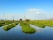 jardins flottants de Kela, Lac Inle