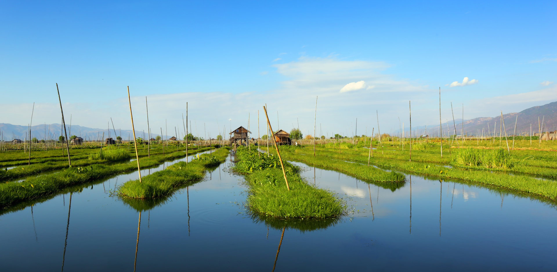 jardins flottants de Kela, Lac Inle