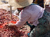 marché aux légumes, lac Inle