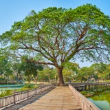 Panorama sur le lac Kandawgyi