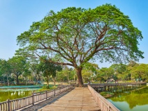 Panorama sur le lac Kandawgyi